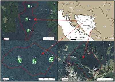 Vegetation indices monitoring by using copernicus data in the old-growth forests of the Republic of Srpska/Bosnia and Herzegovina